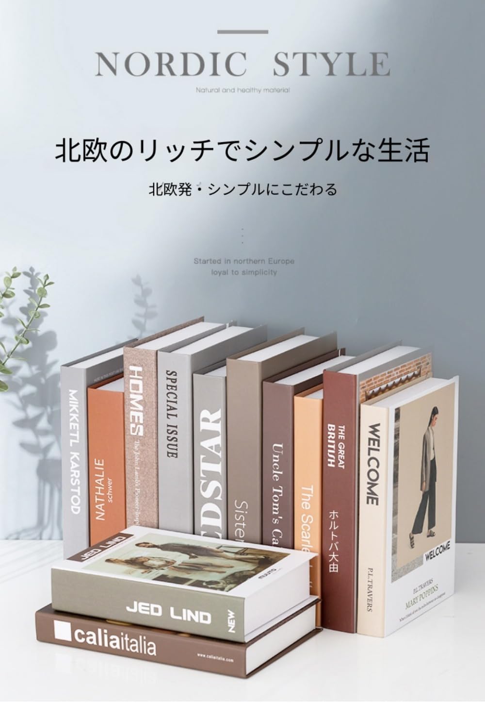 BtcFu 北欧風フェイクブック 12冊セット 洋書風インテリアダミーブック アーティスティック表紙 軽量扱いやすい リビングオフィス装飾 撮影小物 空間雰囲気アップ (メイン画像は写真に写っています。全12冊セットです) サムネイル